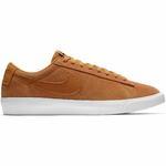Кроссовки Nike SB Blazer Low GT | 704939-800