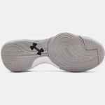 Баскетбольные кроссовки Under Armour UA Anomaly | 3021266-600