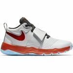 Баскетбольные кроссовки Nike Team Hustle D 8 SD | AR0263-001