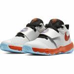 Баскетбольные кроссовки Nike Team Hustle D 8 SD | AR0263-001