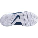 Детские баскетбольные кроссовки Nike Team Hustle D 8 (GS) | 881941-406