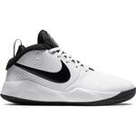 Детские баскетбольные кроссовки Nike Team Hustle D 9 (GS) | AQ4224-100