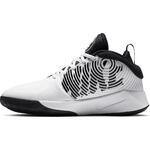 Детские баскетбольные кроссовки Nike Team Hustle D 9 (GS) | AQ4224-100