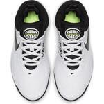 Детские баскетбольные кроссовки Nike Team Hustle D 9 (GS) | AQ4224-100