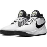 Детские баскетбольные кроссовки Nike Team Hustle D 9 (GS) | AQ4224-100