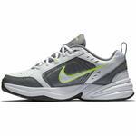 Кроссовки Nike Air Monarch IV | 415445-100