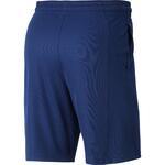 Баскетбольные шорты Nike | 910704-492