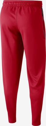 Штаны Nike Chicago Bulls Nike Spotlight | AR9898-657