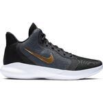Баскетбольные кроссовки Nike Precision III | AQ7495-003