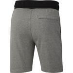 Шорты Nike Sportswear | AR3161-091