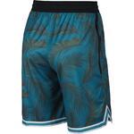 Баскетбольные шорты  Nike Dri-fit Dna | AR1321-366