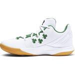 Баскетбольные кроссовки Nike Kyrie Flytrap 2 | AO4436-100