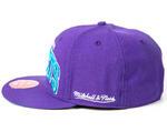 Кепка Mitchell & Ness Charlotte Hornets  | NB_Hornets