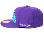 Кепка Mitchell & Ness Charlotte Hornets  - картинка