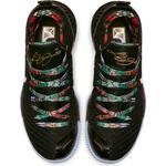 Баскетбольные кроссовки LeBron 16 King's Throne | CI1518-001