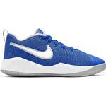 Детские баскетбольные кроссовки Nike Team Hustle Quick 2 | AT5298-400
