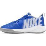 Детские баскетбольные кроссовки Nike Team Hustle Quick 2 | AT5298-400