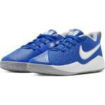 Детские баскетбольные кроссовки Nike Team Hustle Quick 2 | AT5298-400
