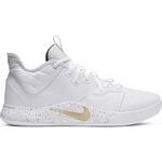 Баскетбольные кроссовки Nike PG 3 | AO2607-100