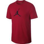 Футболка Jordan Iconic 23/7 | AV1167-687