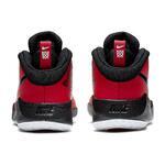Детские баскетбольные кроссовки Nike Team Hustle D 9 (GS) | AQ4224-600
