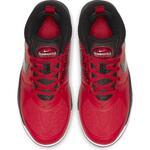 Детские баскетбольные кроссовки Nike Team Hustle D 9 (GS) | AQ4224-600