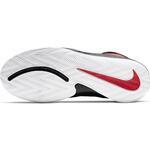 Детские баскетбольные кроссовки Nike Team Hustle D 9 (GS) | AQ4224-600