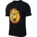 Футболка Nike Dri-FIT LeBron | BV8315-010