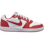 Кроссовки Nike Ebernon Low Premium  | AQ1774-101