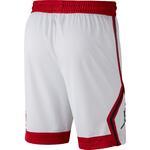 Баскетбольные шорты Jordan Diamond | AV5019-100 