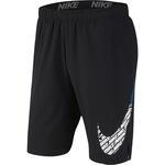 Шорты Nike Flex | BV4478-084