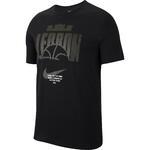 Футболка Nike Dri-FIT LeBron | CD0969-010