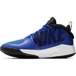 Детские баскетбольные кроссовки Nike Team Hustle D 9 (GS) | AQ4224-400