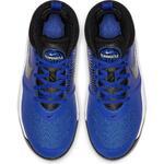 Детские баскетбольные кроссовки Nike Team Hustle D 9 (GS) | AQ4224-400