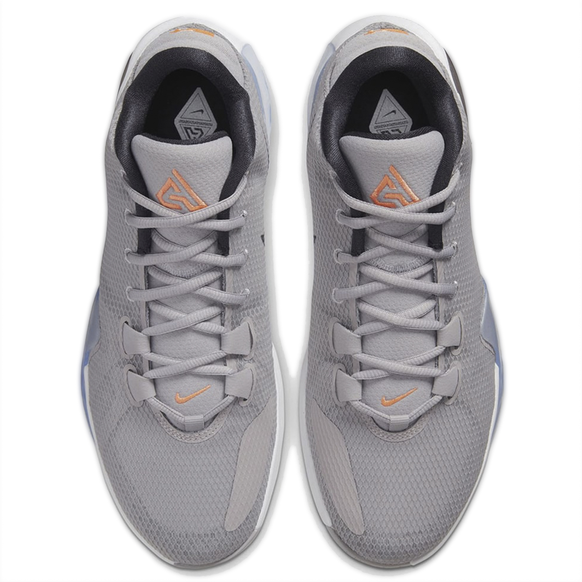 Купить Баскетбольные кроссовки Nike Zoom Freak 1 | BQ5422-002 в Москве или заказать доставку на Slamdunk.su