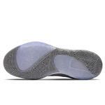 Баскетбольные кроссовки Nike Zoom Freak 1 | BQ5422-002