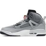 Кроссовки Jordan Spizike Shoe | 315371-008