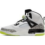 Кроссовки Jordan Spizike Shoe | 315371-170