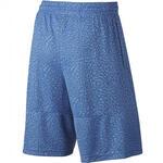 Шорты Jordan Elephant Print Blockout | 831372-401