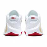 Баскетбольные кроссовки Nike Zoom Freak 1 | BQ5422-100