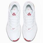 Баскетбольные кроссовки Nike Zoom Freak 1 | BQ5422-100