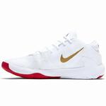 Баскетбольные кроссовки Nike Zoom Freak 1 | BQ5422-100
