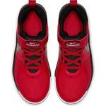 Детские баскетбольные кроссовки Nike Team Hustle D 9 (PS) | AQ4225-600