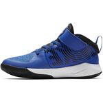 Детские баскетбольные кроссовки Nike Team Hustle D 9 (PS) | AQ4225-400