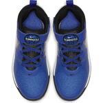 Детские баскетбольные кроссовки Nike Team Hustle D 9 (PS) | AQ4225-400
