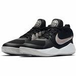 Детские баскетбольные кроссовки Nike Team Hustle D 9 (GS) | AQ4224-001