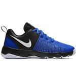 Детские баскетбольные кроссовки Nike Team Hustle Quick (GS) | 922680-400