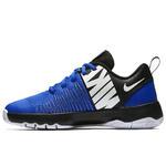 Детские баскетбольные кроссовки Nike Team Hustle Quick (GS) | 922680-400