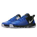 Детские баскетбольные кроссовки Nike Team Hustle Quick (GS) | 922680-400