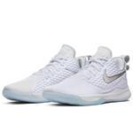 Баскетбольные кроссовки Nike Lebron Witness III | AO4433-101